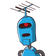 guest